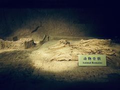 -汉景帝阳陵博物院