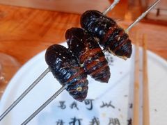 -喝丢一只鞋海鲜烧烤·海肠捞饭(文体街店)