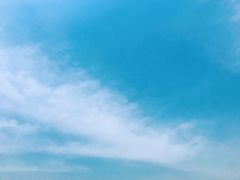 -新辣道鱼火锅(上地华联店)