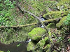 -苍龙峡风景区