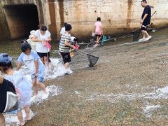 -九龙湖公园