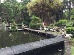 -拉古南动物园