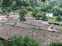 -杨家堂村