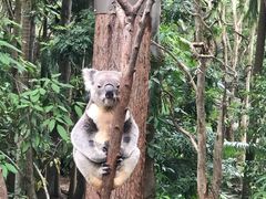 -可伦宾野生动物保护区