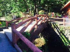 -藏龙百瀑风景区