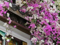 -深圳国际园林花卉博览园