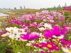 -兴安湖生态运动公园