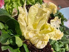 -快乐小羊·内蒙牛羊肉火锅(流花中心店)