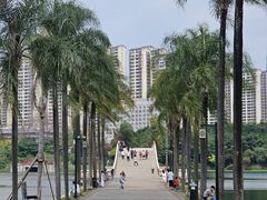 -南宁南湖公园