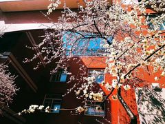 -东北师范大学(净月大街校区)