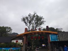 -柳州市动物园