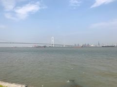 -海鸥岛