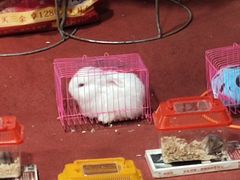 -鼓楼夜市