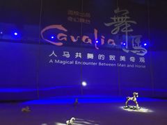 -cavalia·舞马