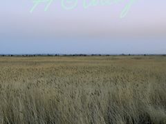 -包头南海湿地景区