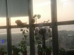 -长富金茂大厦