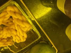 -华夏良子·足道SPA艾灸(龙潭路店)