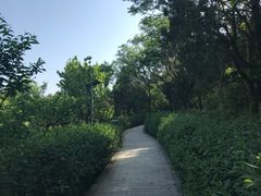 -云龙山