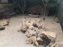 -昆明动物园