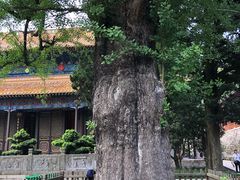 -普陀山风景名胜区-法雨禅寺