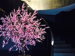 东京和食-东京和食 Sun with AQUA