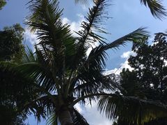 -东寨港红树林旅游区