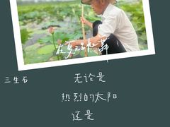 -白洋淀景区
