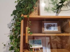 -一杯潮茶·专注潮汕茶饮(朝阳庄店)
