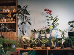 -自由生长植物工作室(深港花卉中心店)