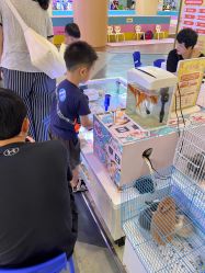 -菲菲羊乐园(临平银泰城店)