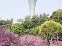-狐尾山公园