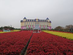 -百万葵园
