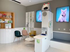 -关爱宠物医院·猫科中心·消化科(滨湖万达分院)