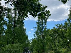 -国家植物园南园