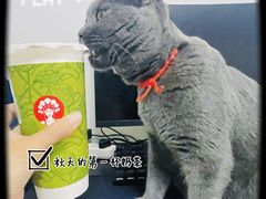 -霸王茶姬(大学城熙街店)