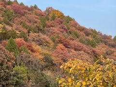 -华盛园卷子王农家菜水库鱼