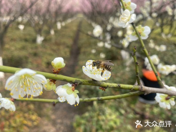 诺贝尔湖公园图片