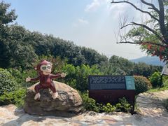 -海上云台山景区