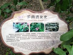-南山植物园
