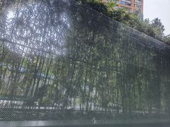 -君悦酒店·1881·北京烤鸭