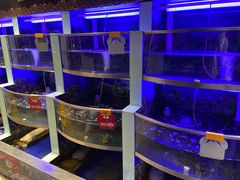 水产区-七欣天(上海淮海路新尚广场店)
