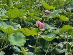 -3W咖啡(国家软件园店)