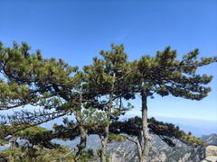 -黄山风景区