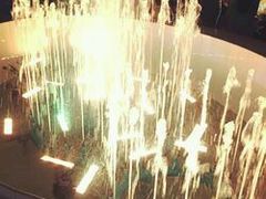 -大珍珠号夜游湄南河