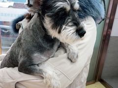 -瑞派宠物医院·中兽医专科(中央商城分院)