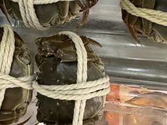 -阳澄湖大闸蟹·琼灵阁牌品牌连锁(吴中总店)