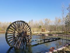 -合肥滨湖国家森林公园