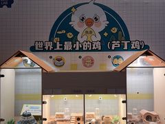 -杭州开元森泊度假乐园