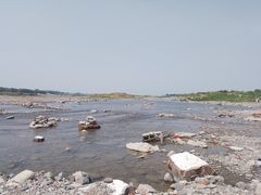 -绿堤公园