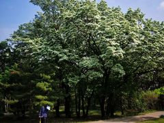 -国家植物园南园